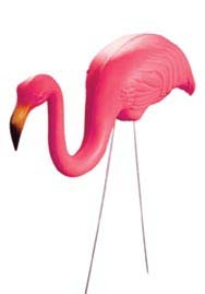 Don Featherstone Union Flamingos