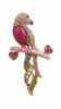 Hot pink parrot brooch