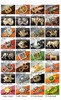 Terry Stack Animal Buckles